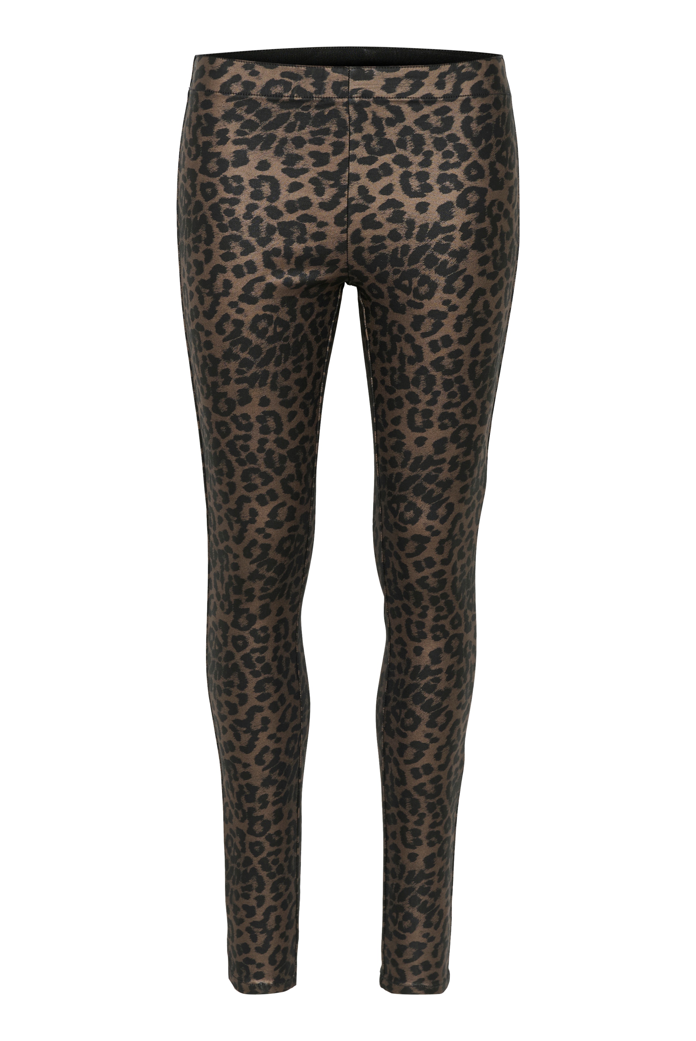 CUbettine Leopard Leggings PACK FRONT 50109868-500089