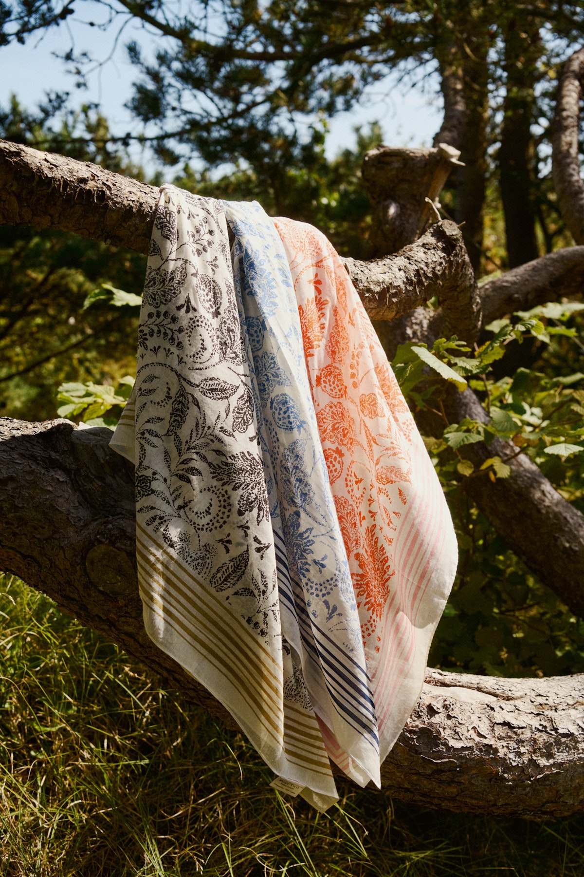 3915_12ca6567-365f-495c-a86c-