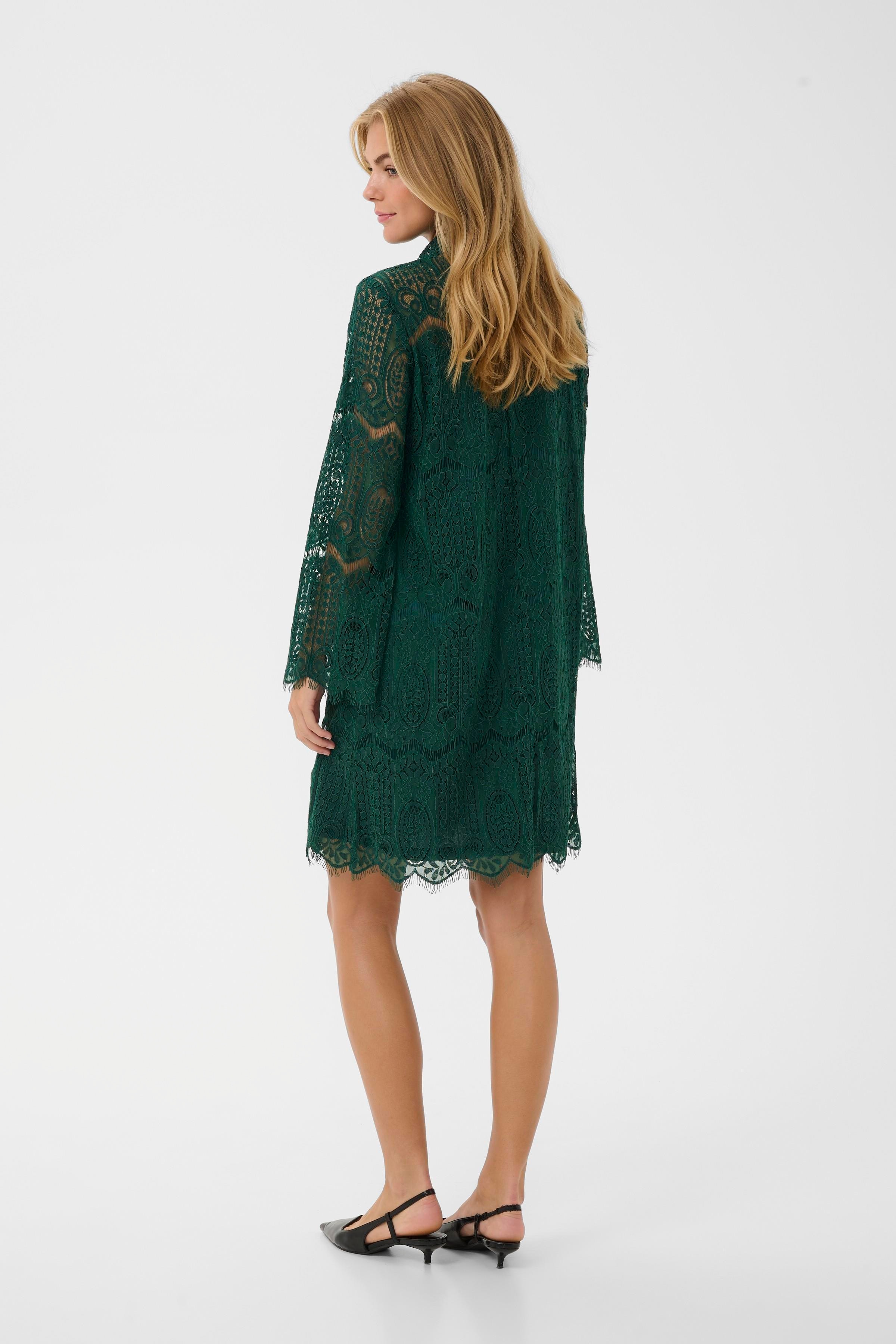 CUima Lace Dress LOOKBOOK BACK 50111346-195220