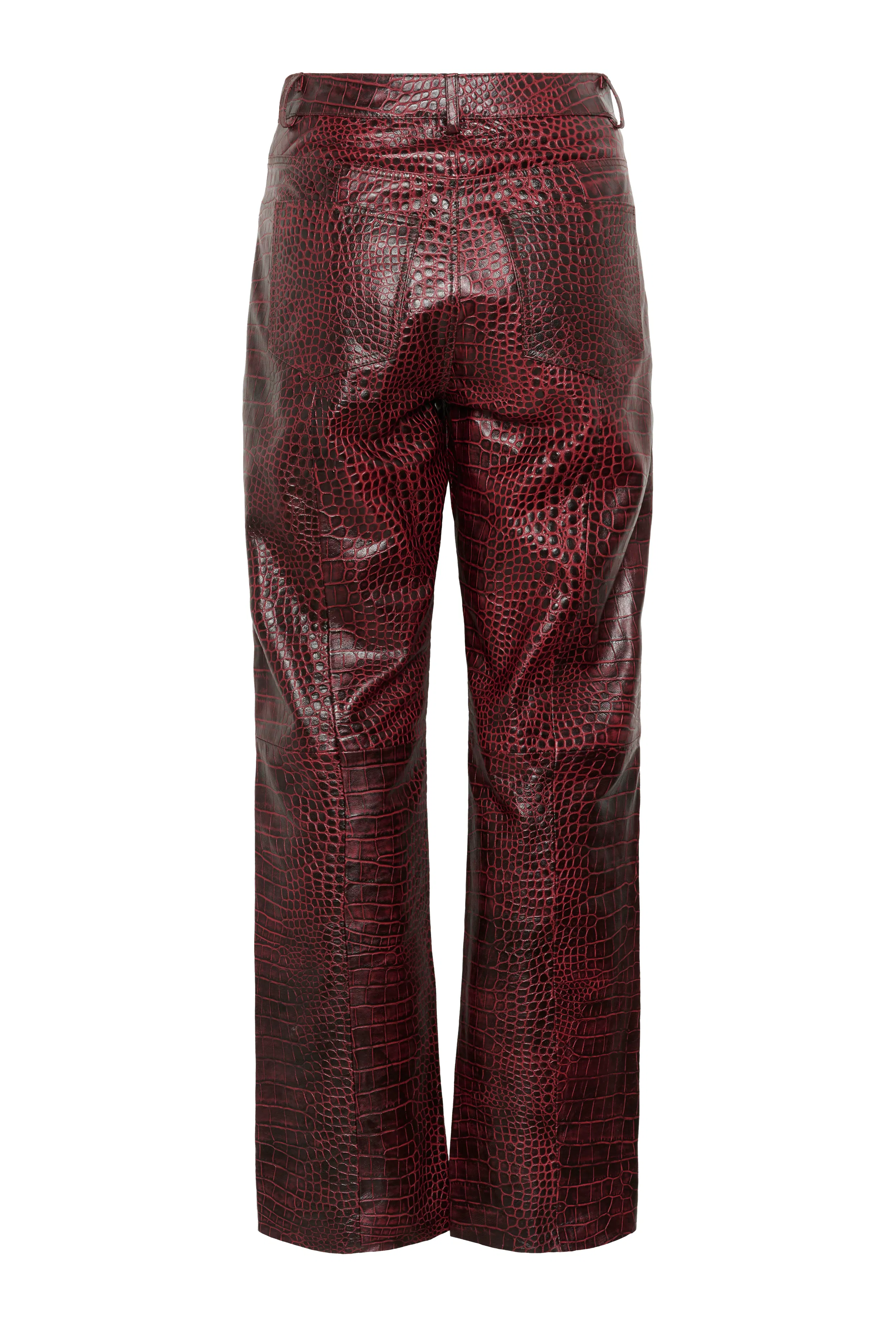 GZbasilia Leather pants PACK FRONT 10910742-108341