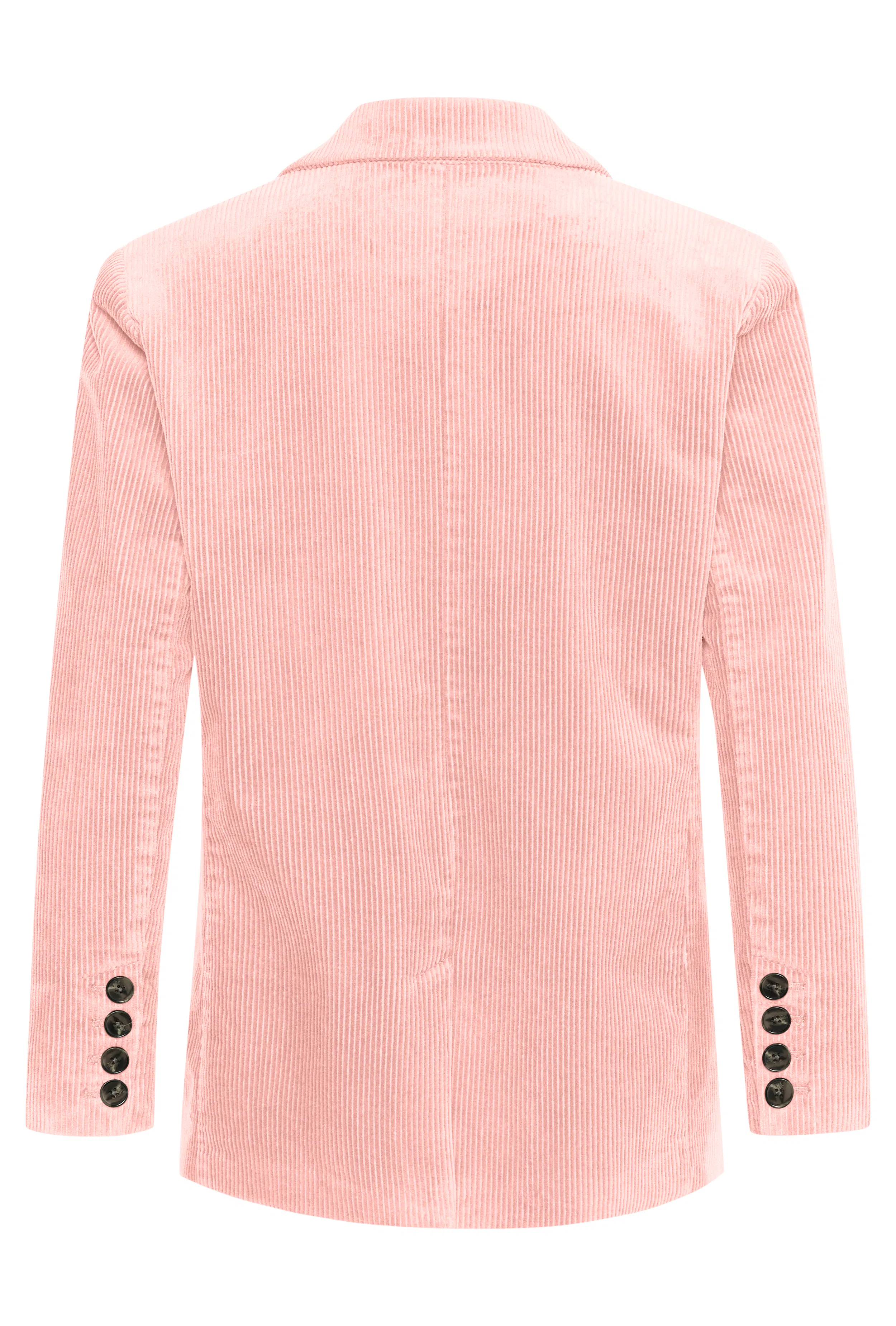 LeniPW Blazer PACK FRONT 30308890-141508