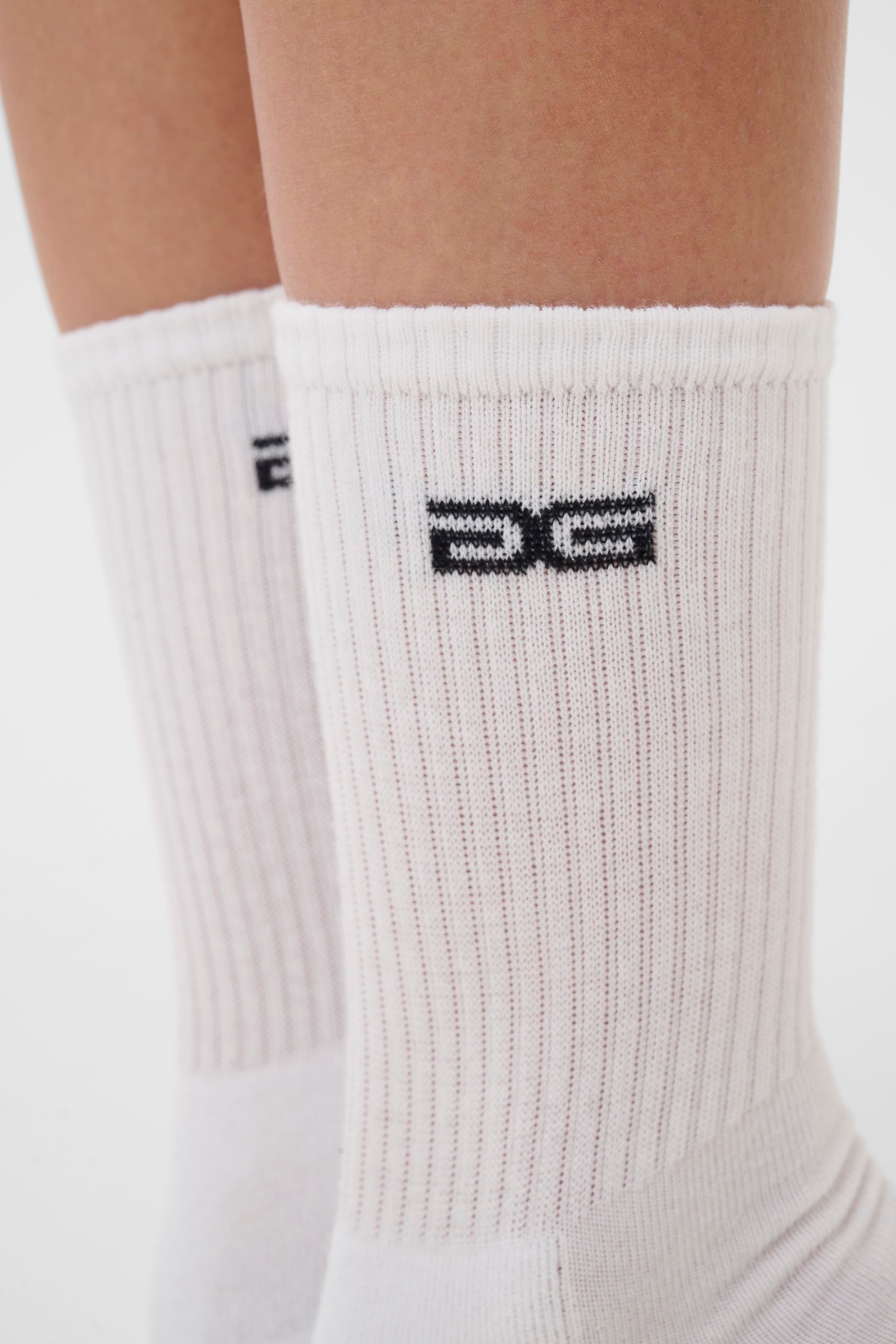GZGG Socks LOOKBOOK BACK 10910919-110601
