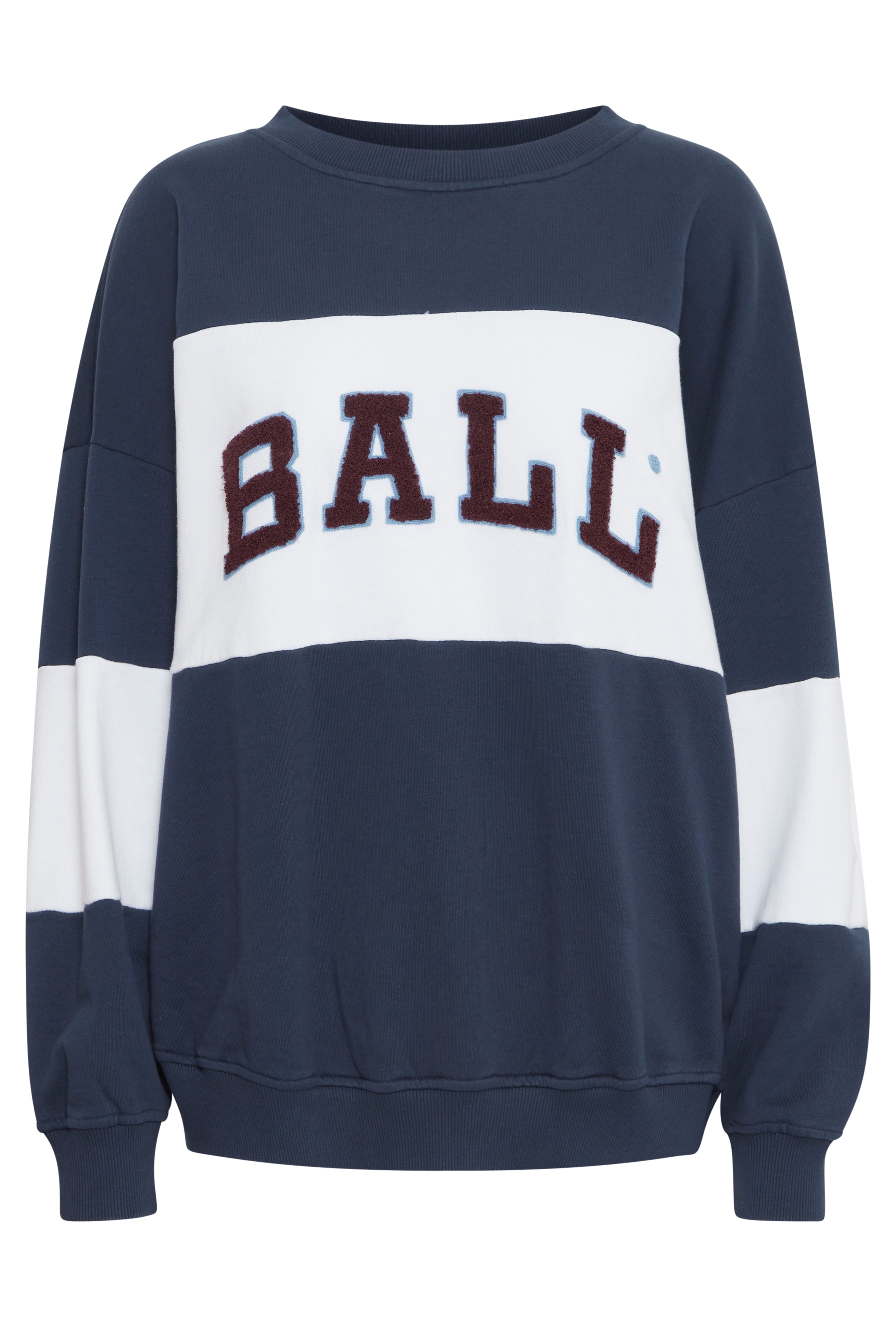 BAZIDNEY Sweatshirt LOOKBOOK FRONT 50405004-193921