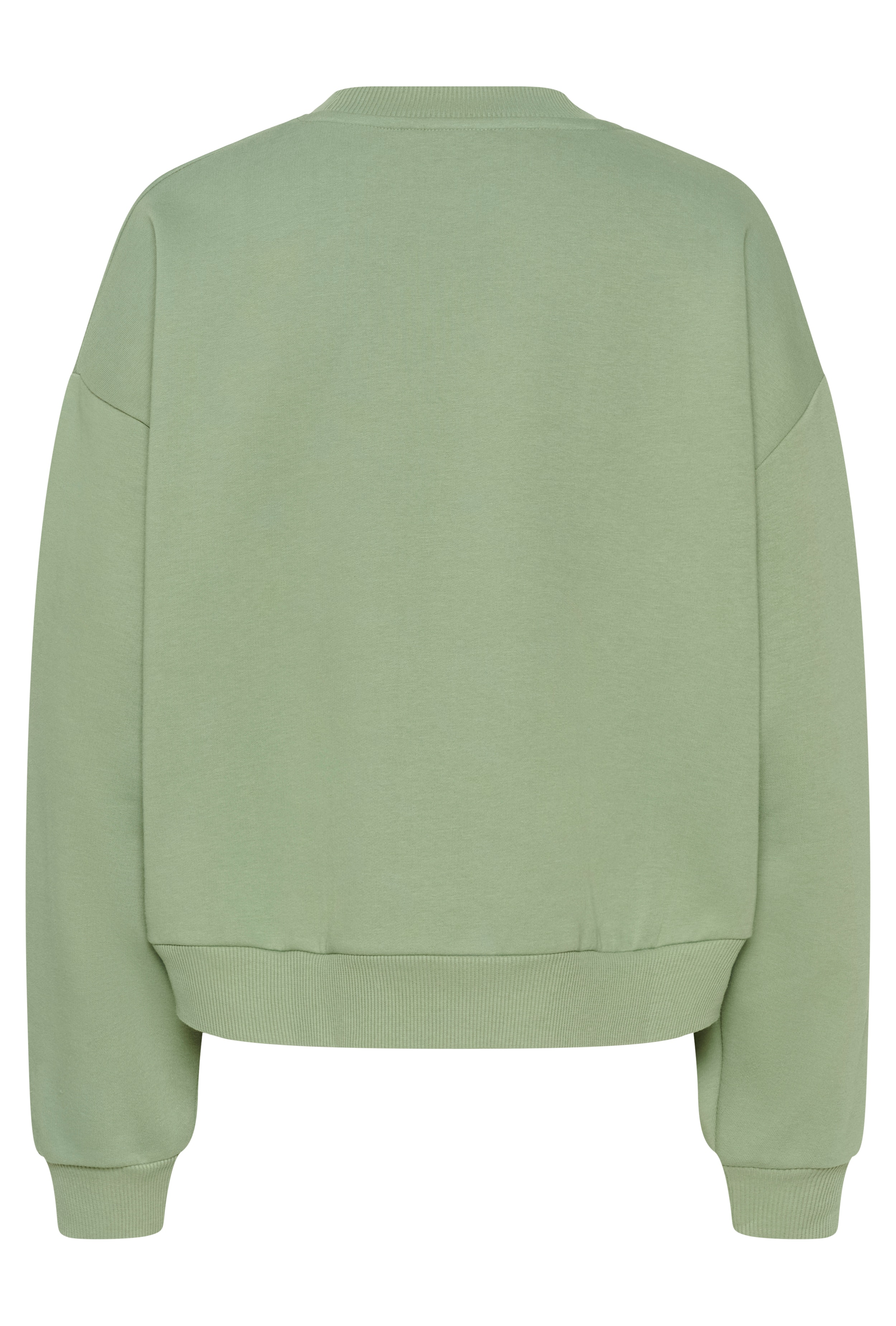 KAsussi Sweatshirt PACK BACK 10511087-176212