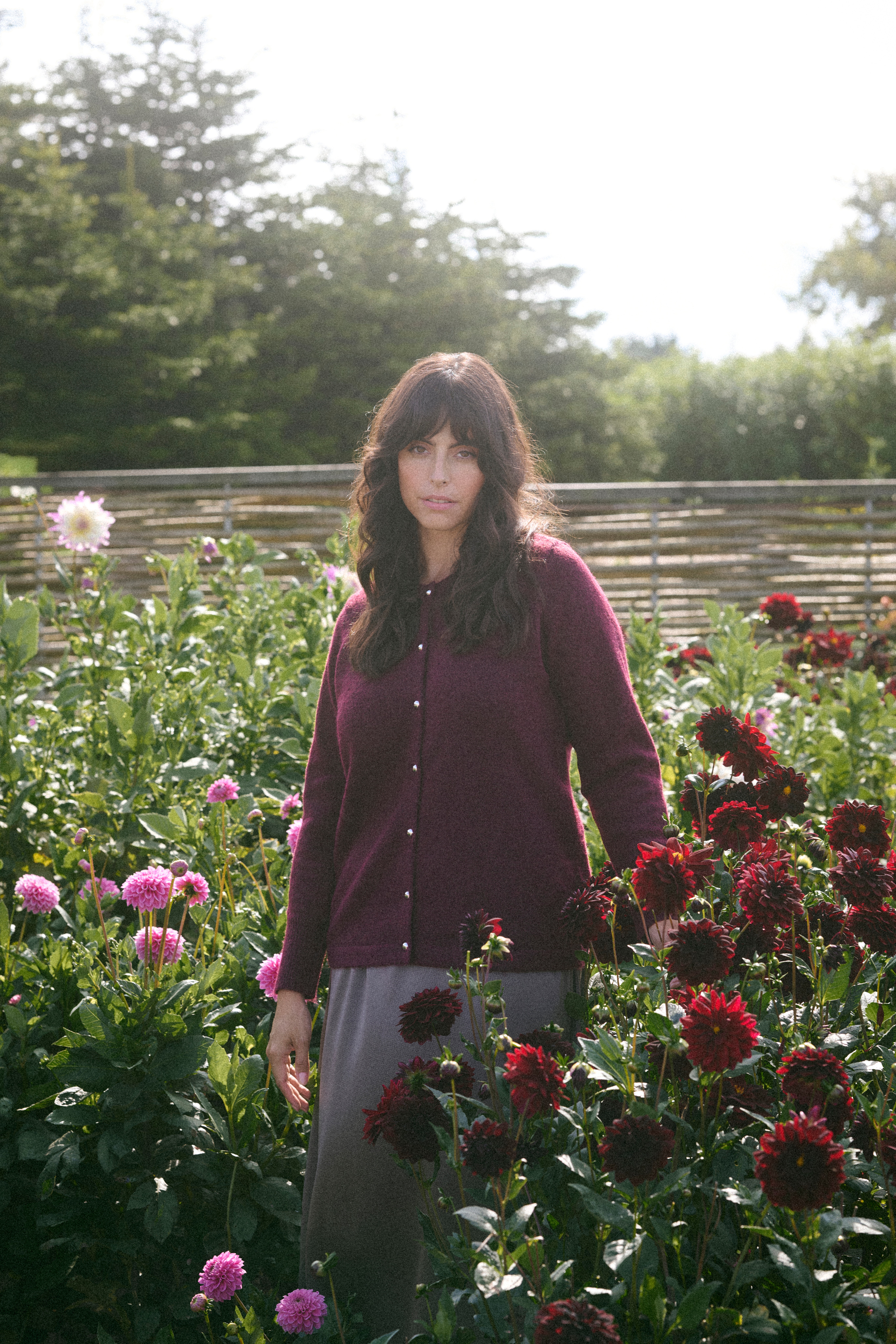 KCniela Cardigan LOCATION NONE 10583699-191528