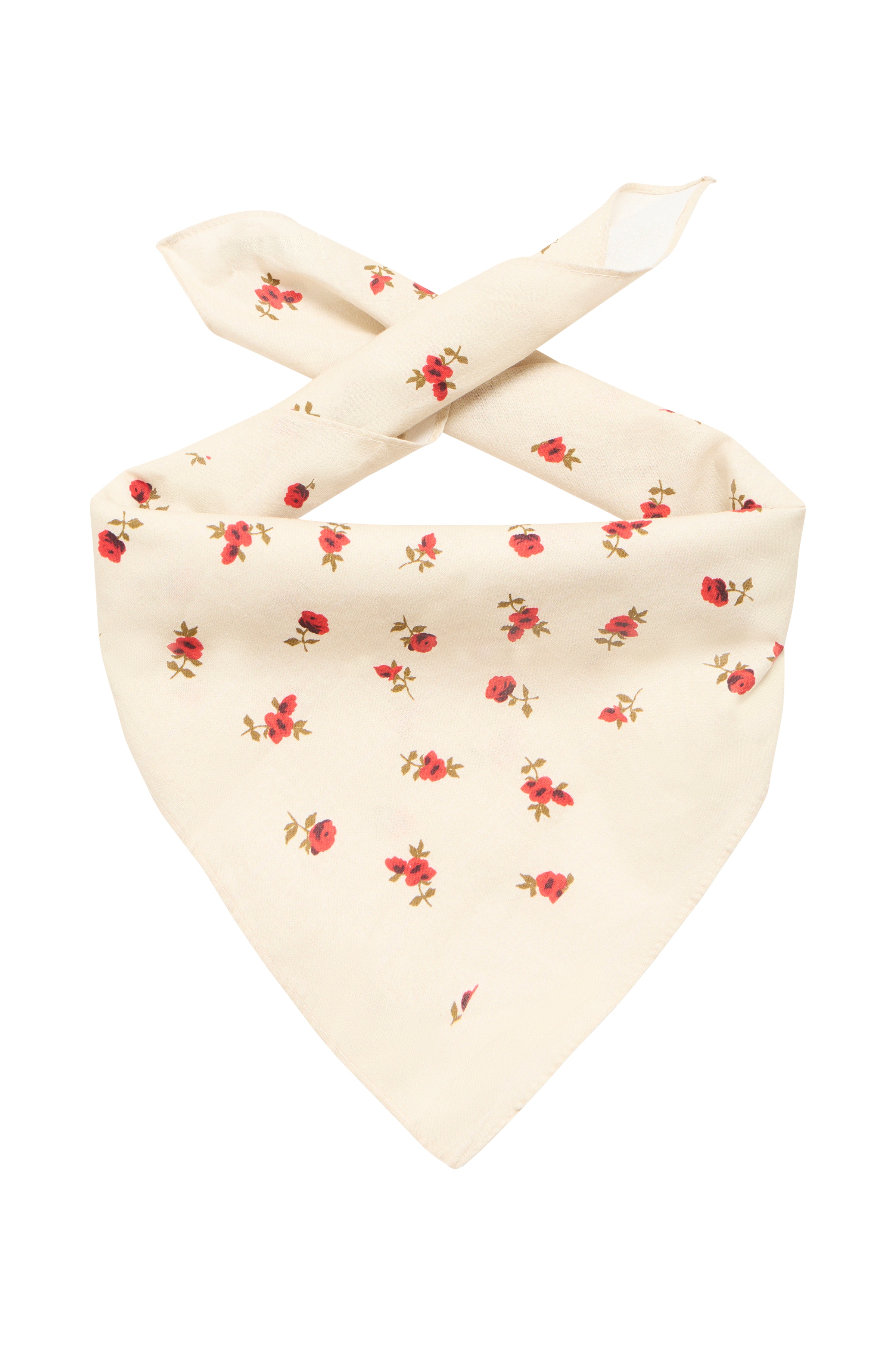 IAROSALINA Sjaal PACK FRONT 20123138-124301