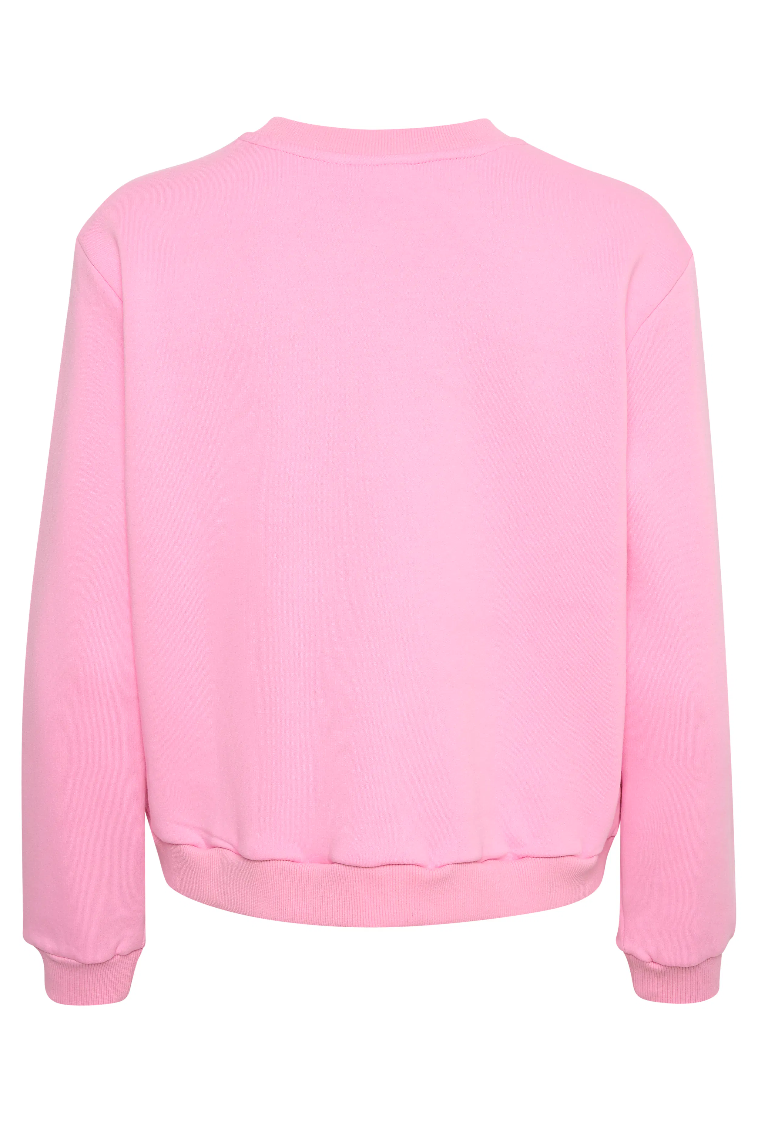 DajlaSZ Sweatshirt PACK FRONT 30513174-152213