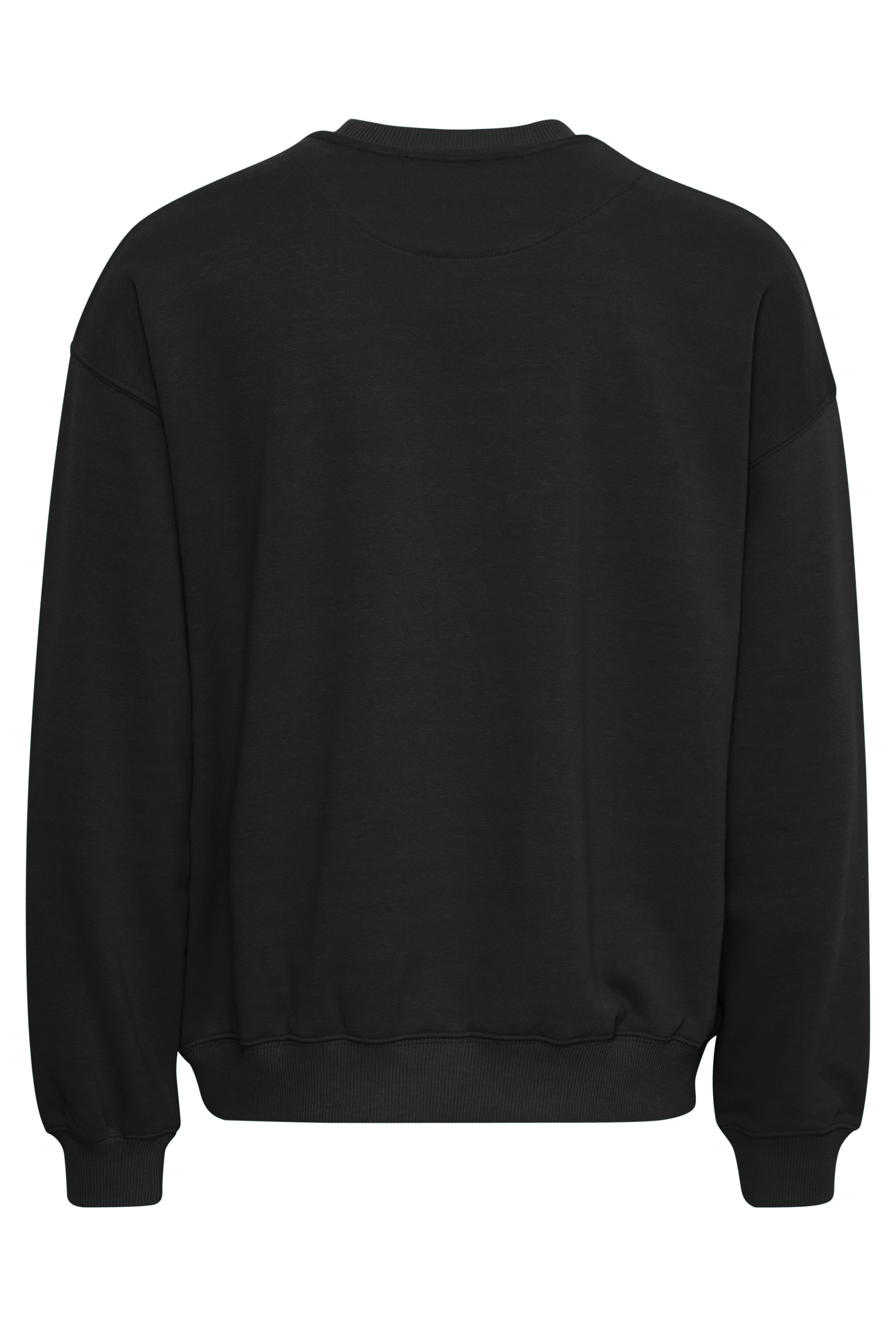 JCMSANDER Sweatshirt PACK BACK 22800841-203650