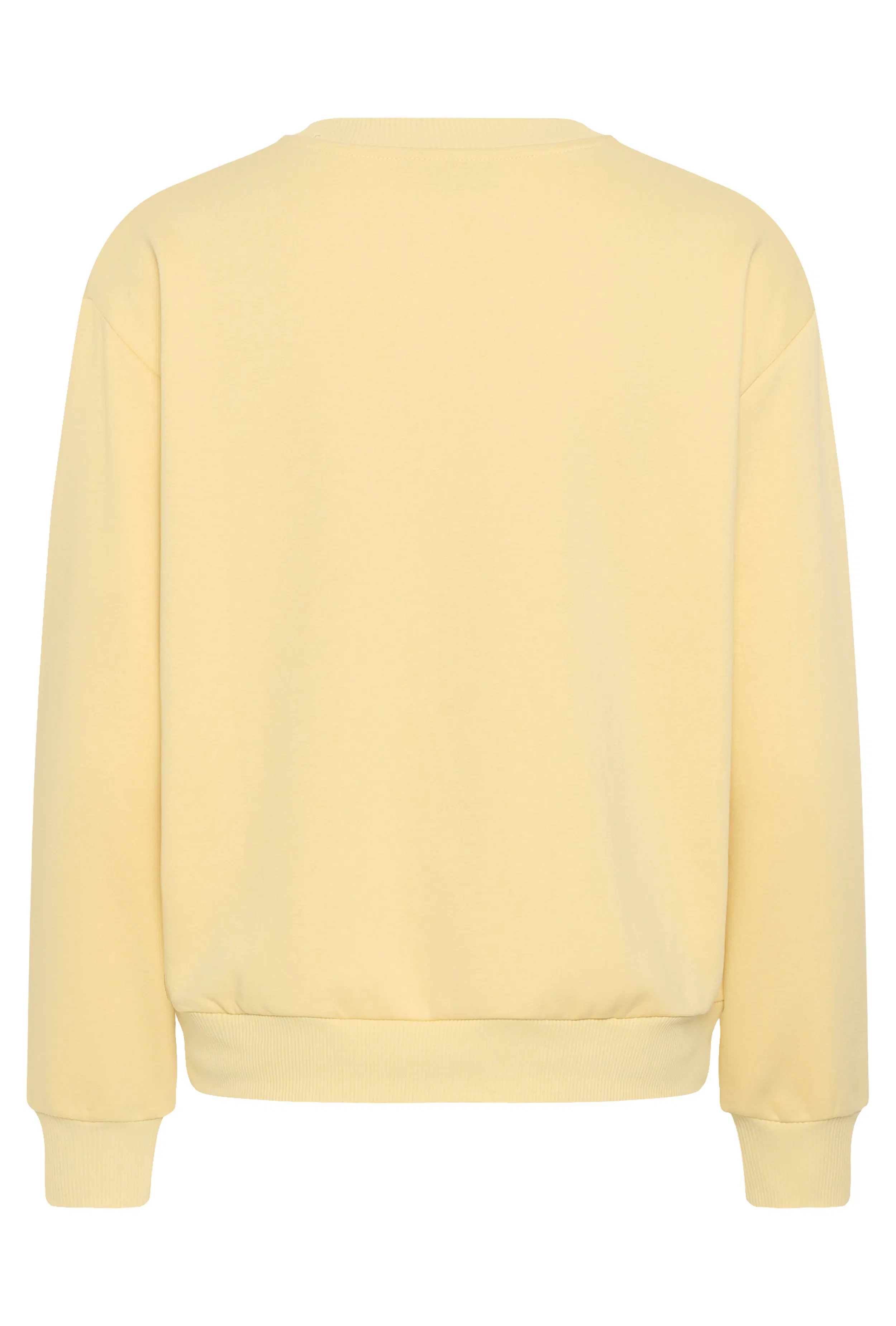 KAroseanne Sweatshirt PACK FRONT 10511884-130822