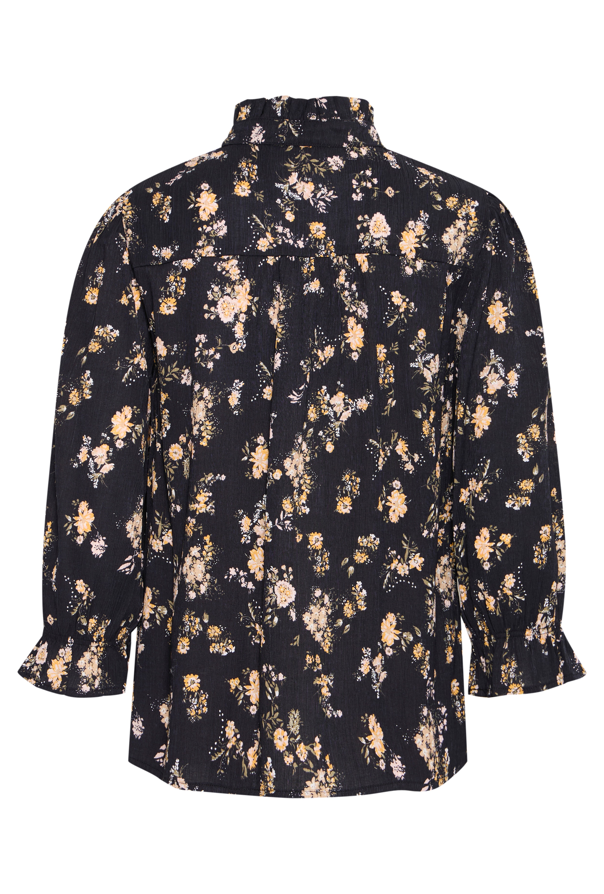 PZTALULLA Bluse PACK BACK 50208337-203589