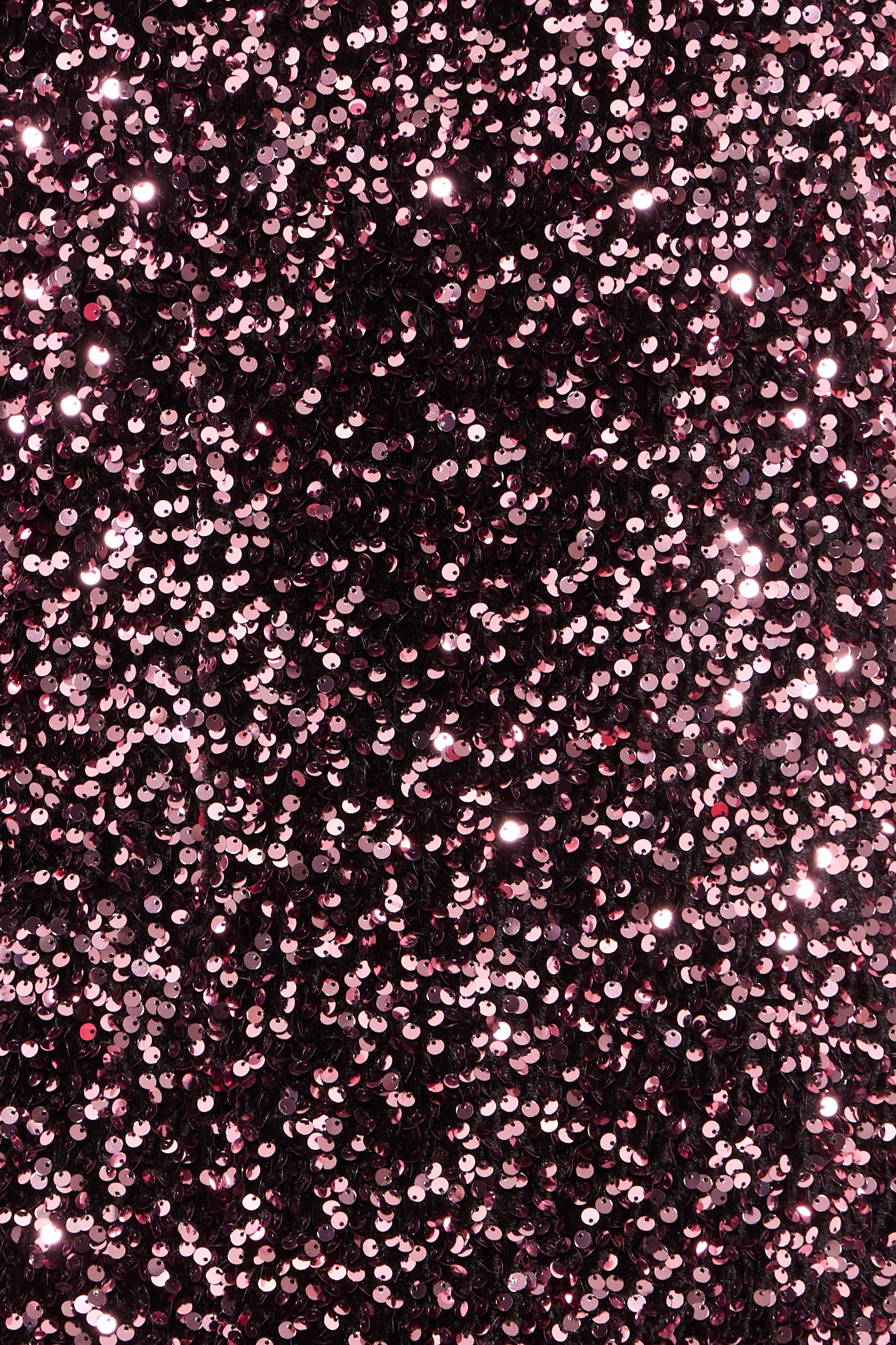 PZLOLLIE Kleid PACK DETAIL 50210157-191718