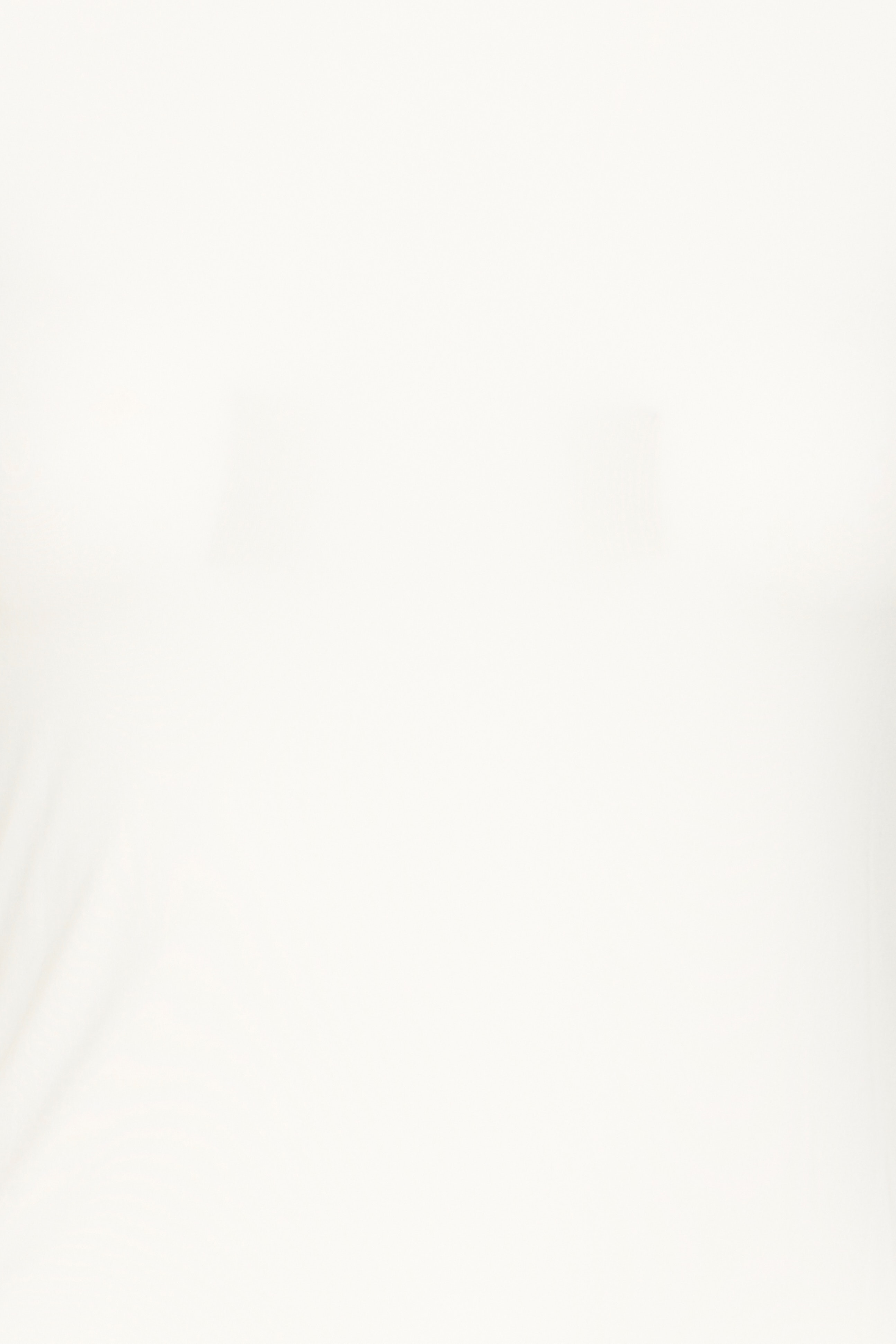 IHESSA T-shirt PACK DETAIL 20124571-114201