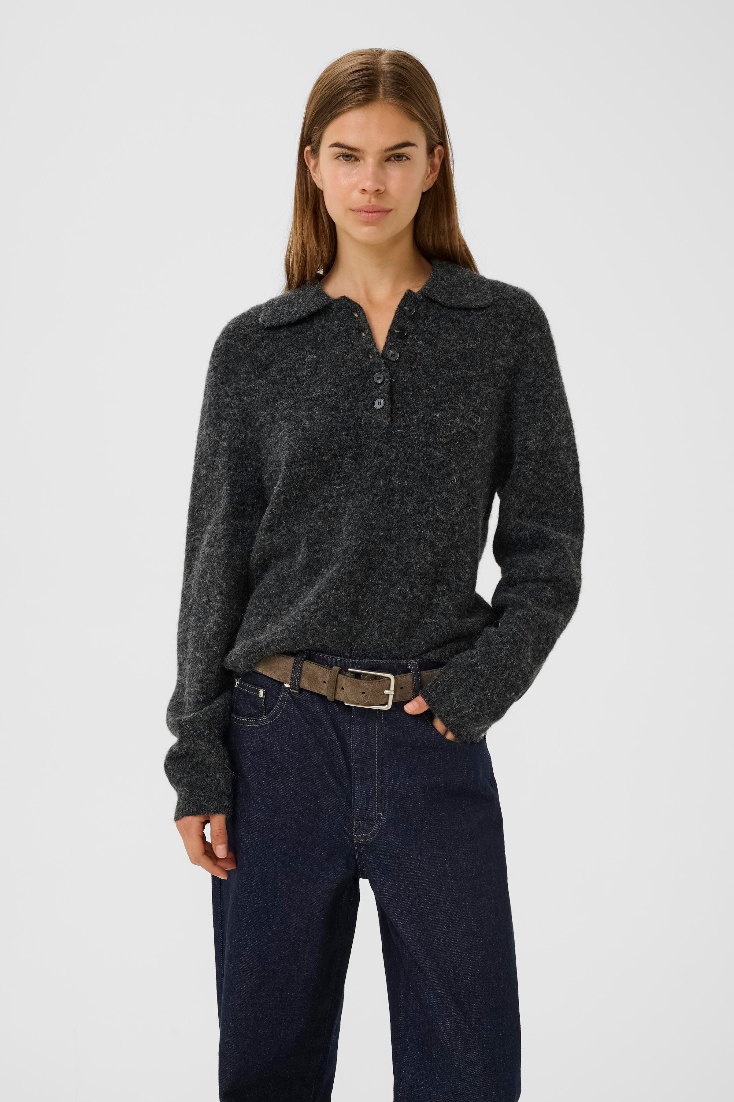 GZalpha Polo Pullover LOOKBOOK FRONT 10910589-106286