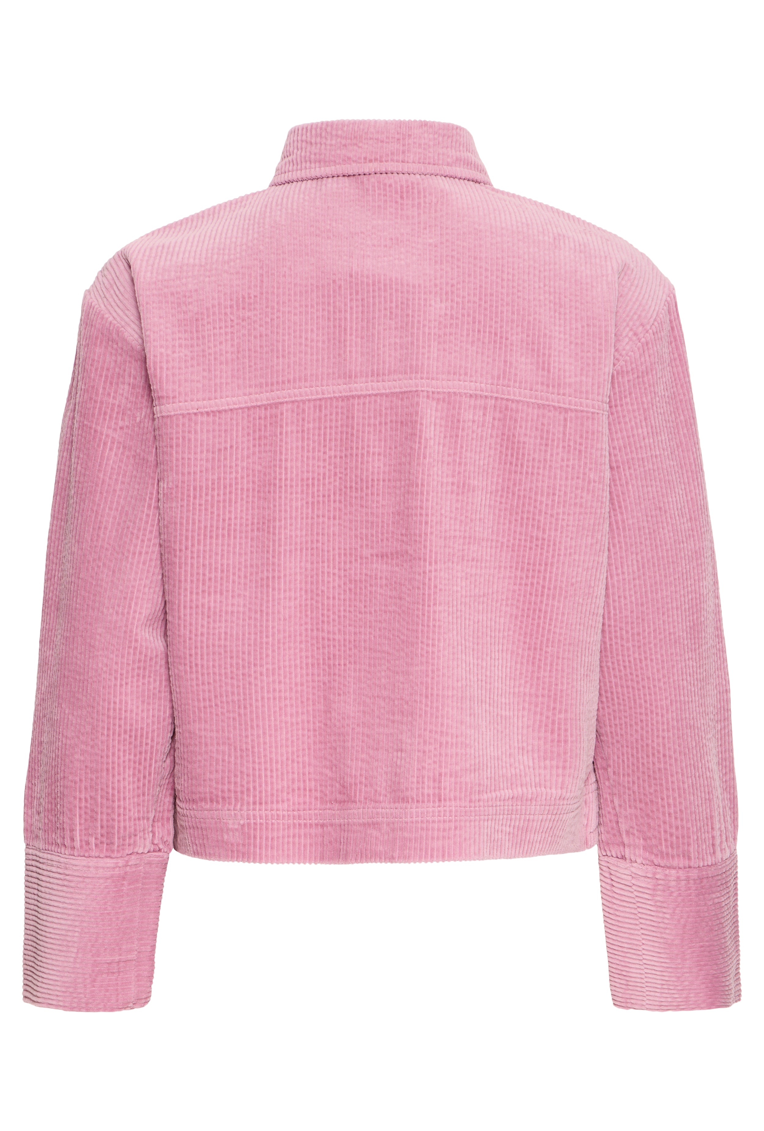 BYDIXIAN Skjorte PACK BACK 20818106-162107