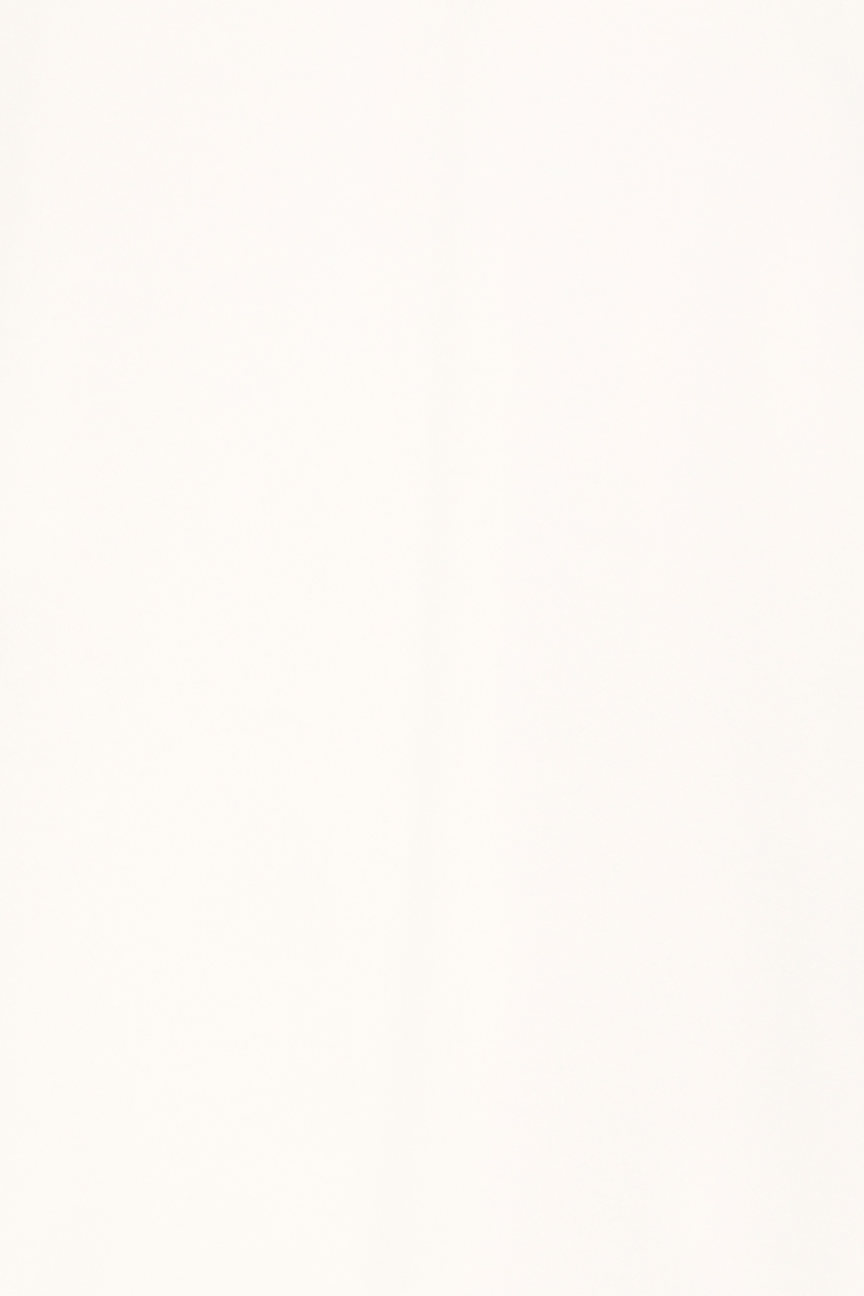 BYPUSTI Sweatshirt PACK DETAIL 20818586-114300